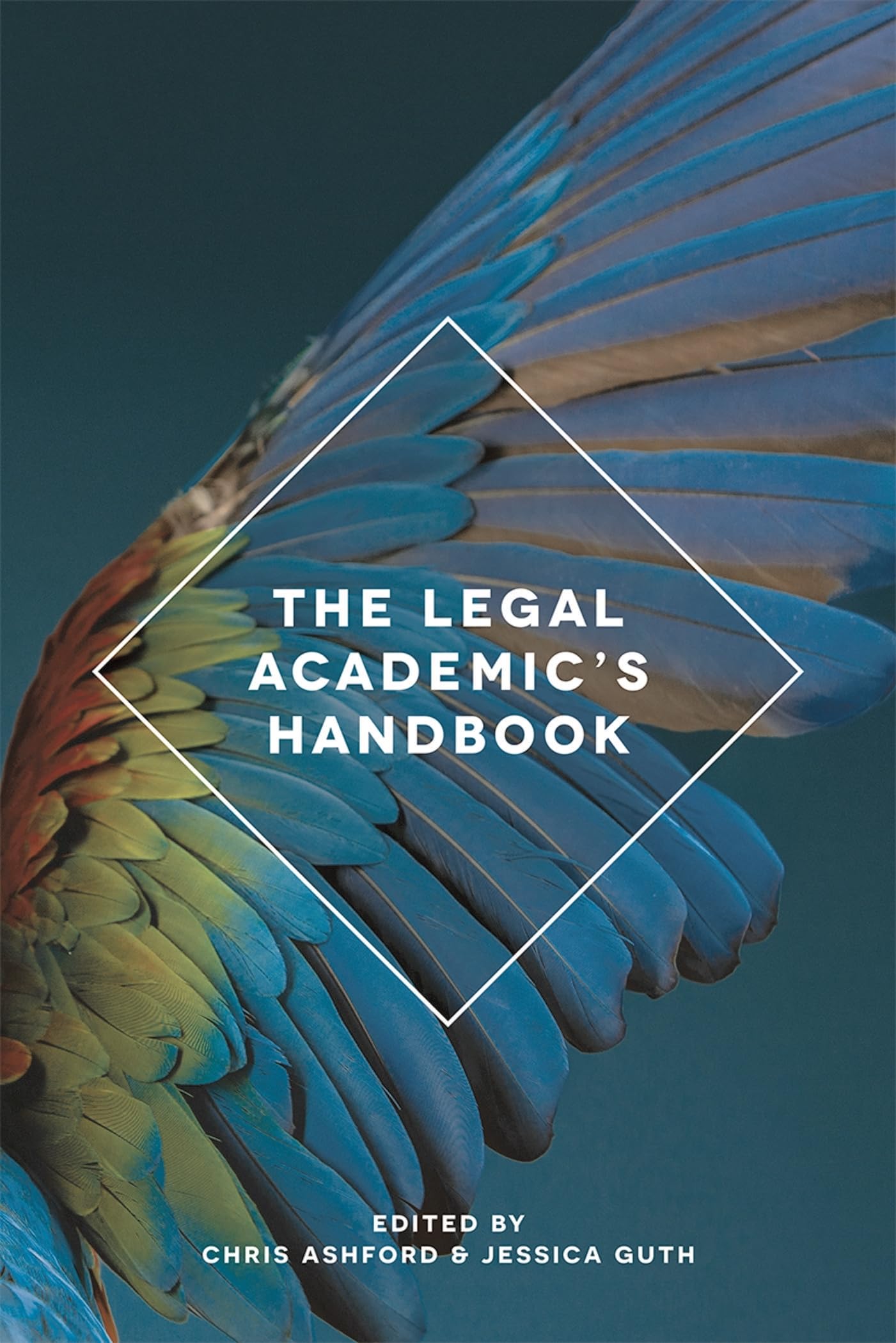 The Legal Academic's Handbook Law