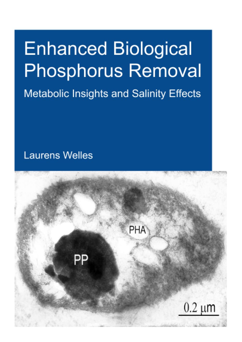 Enhanced Biological Phosphorus Removal: Metabolic Insights and Salinity Effects (Ihe Delft PhD Thesis) Business & Technology