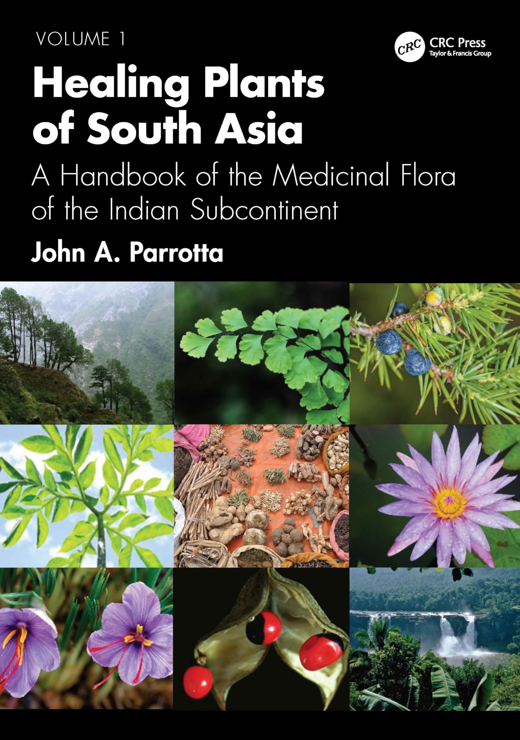 Healing Plants of South Asia: A Handbook of the Medicinal Flora of the Indian Subcontinent. Volume 1 Business, Finance & Career
