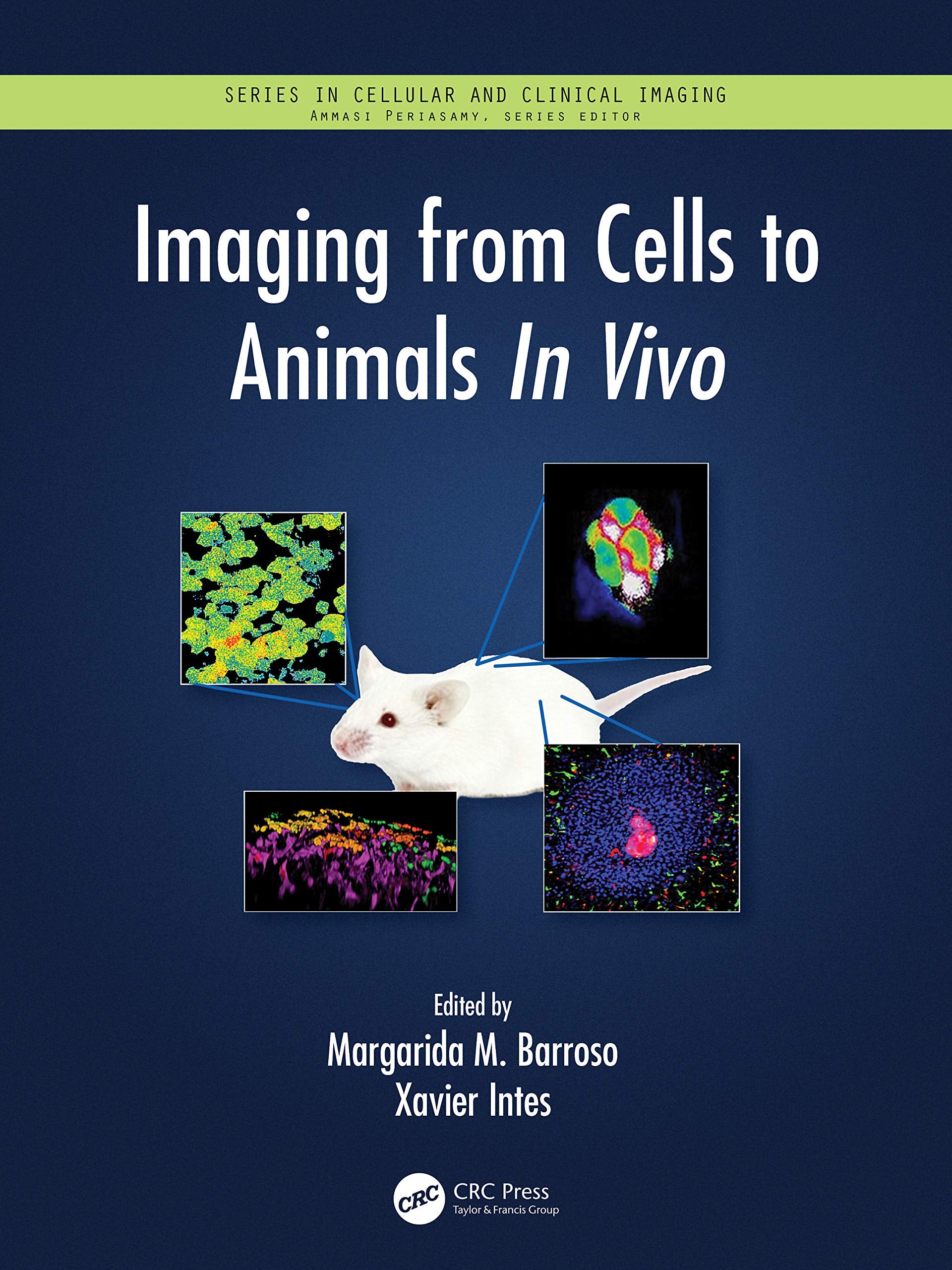 Imaging from Cells to Animals In Vivo (Series in Cellular and Clinical Imaging) Medicine