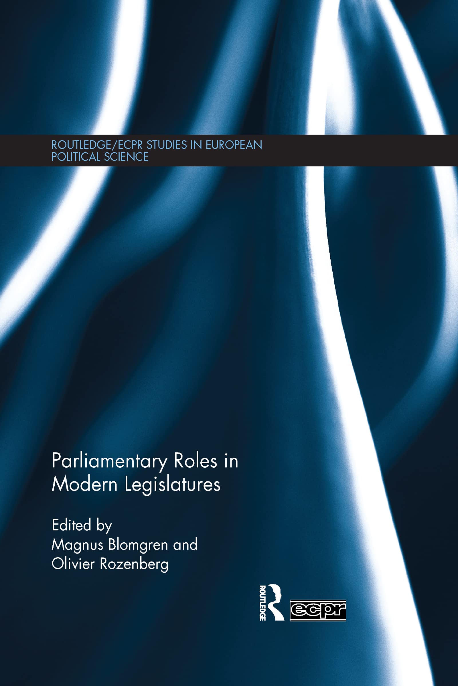 Parliamentary Roles in Modern Legislatures book