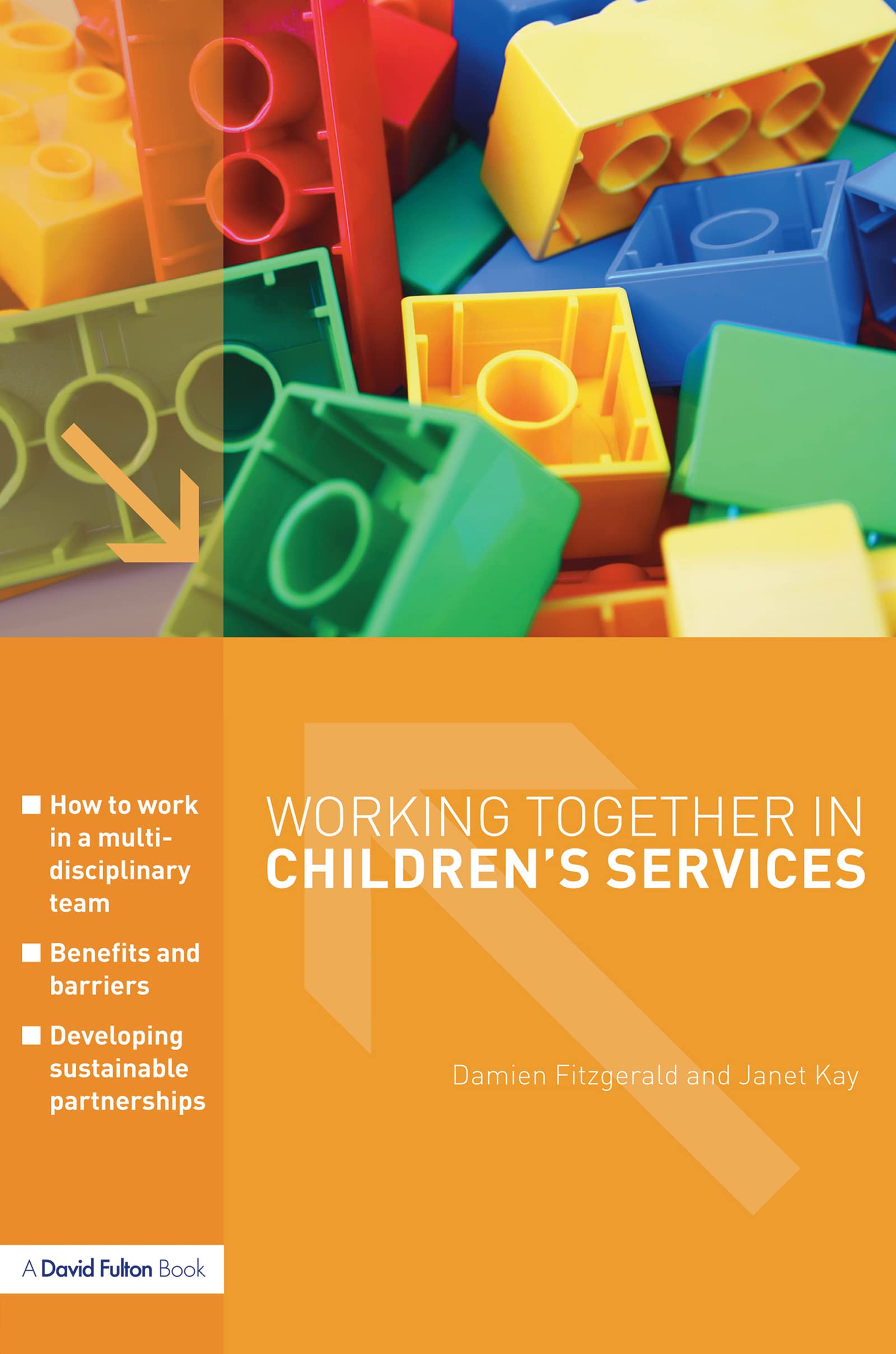 Working Together in Children's Services Social Sciences