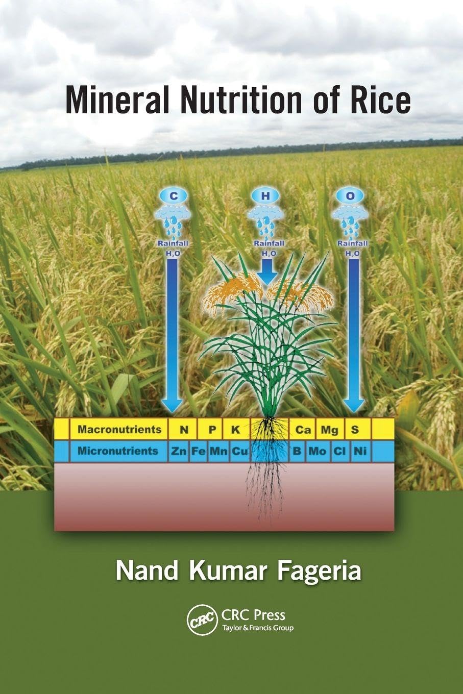 Mineral Nutrition of Rice Business & Technology