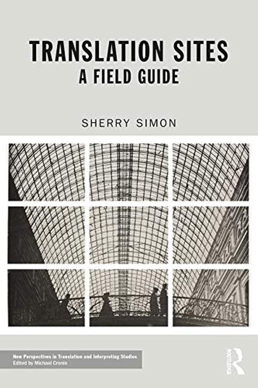 Translation Sites: A Field Guide (New Perspectives in Translation and Interpreting Studies) Social Sciences