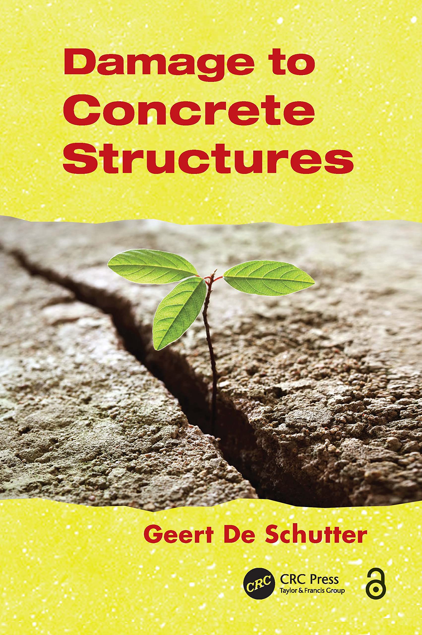 Damage to Concrete Structures Business & Technology