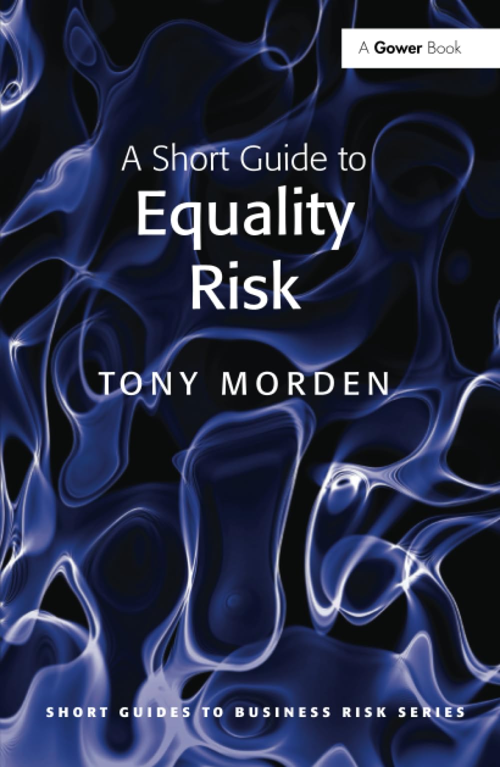 A Short Guide to Equality Risk (Short Guides to Business Risk) Law