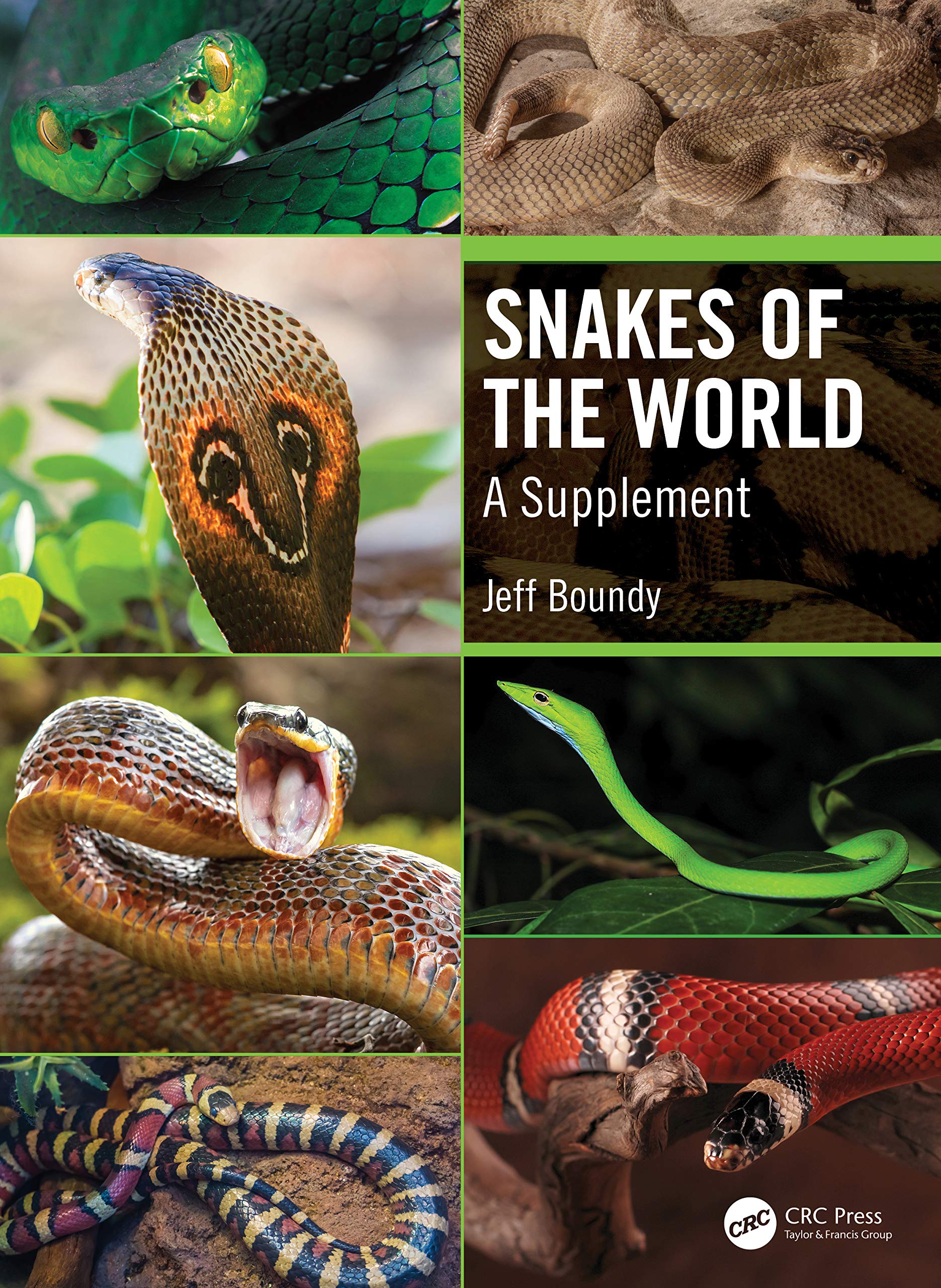 Snakes of the World Leisure, Home & Garden