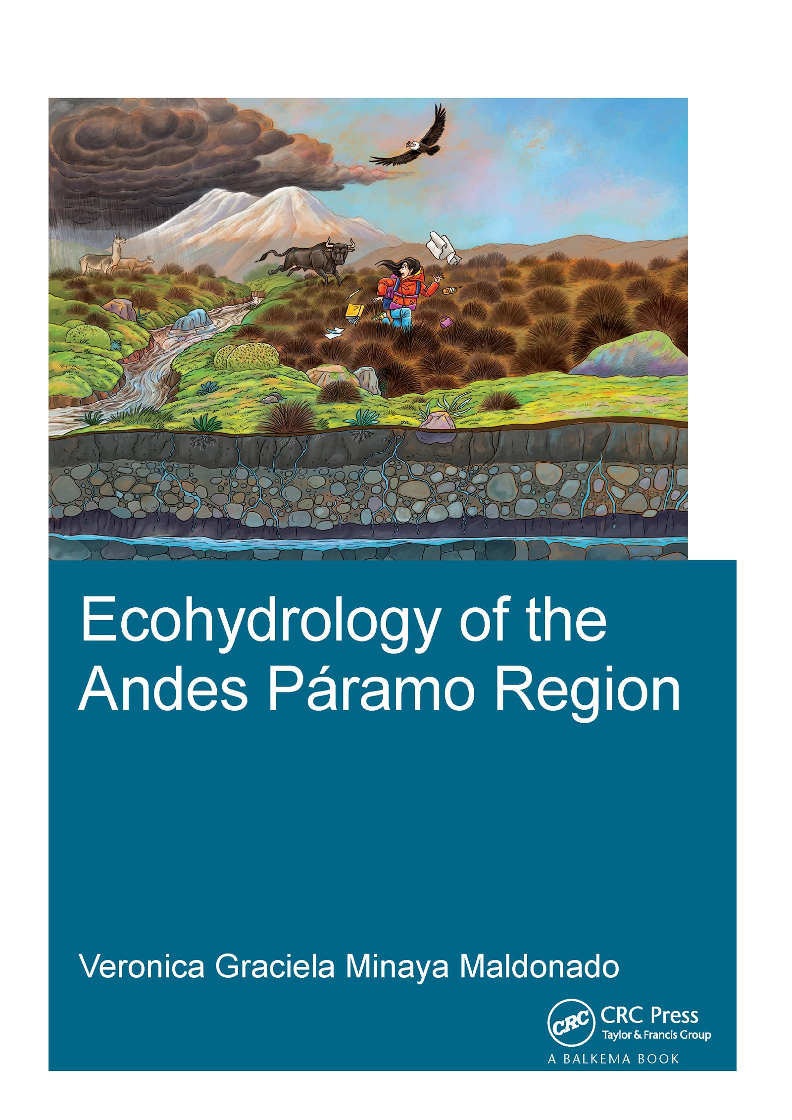 Ecohydrology of the Andes Páramo Region: Dissertation (Ihe Delft PhD Thesis) Business & Technology
