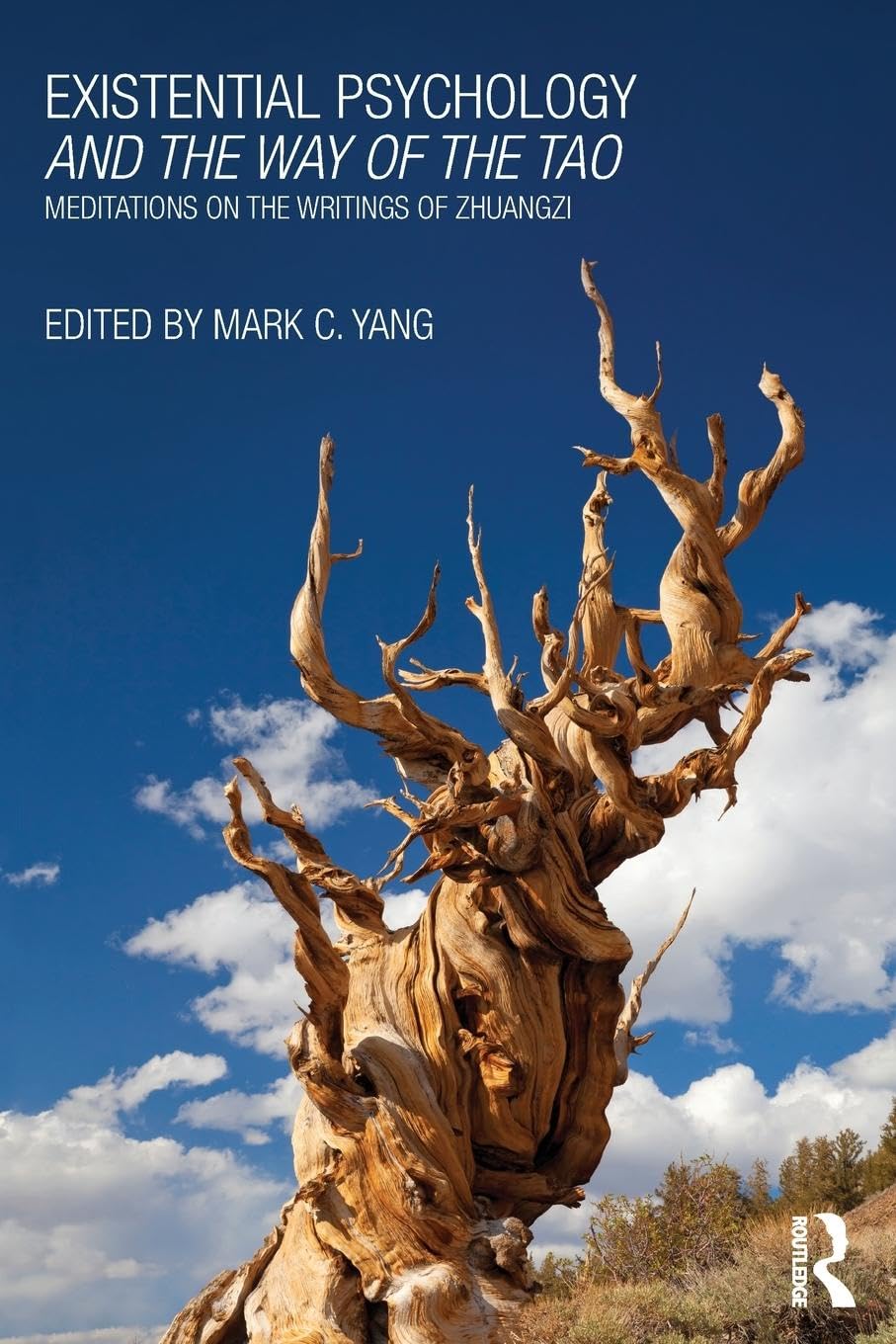 Existential Psychology and the Way of the Tao book
