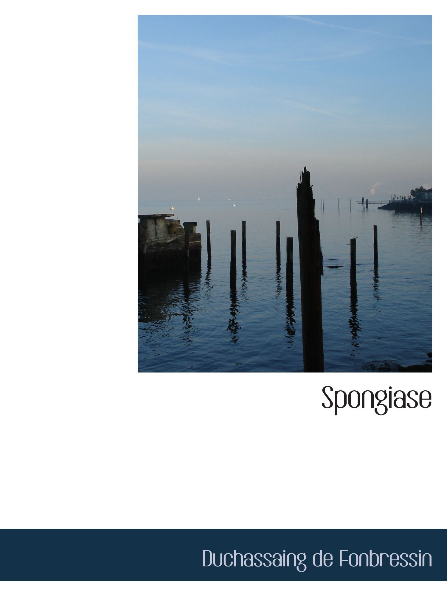 Spongiase Politics & History