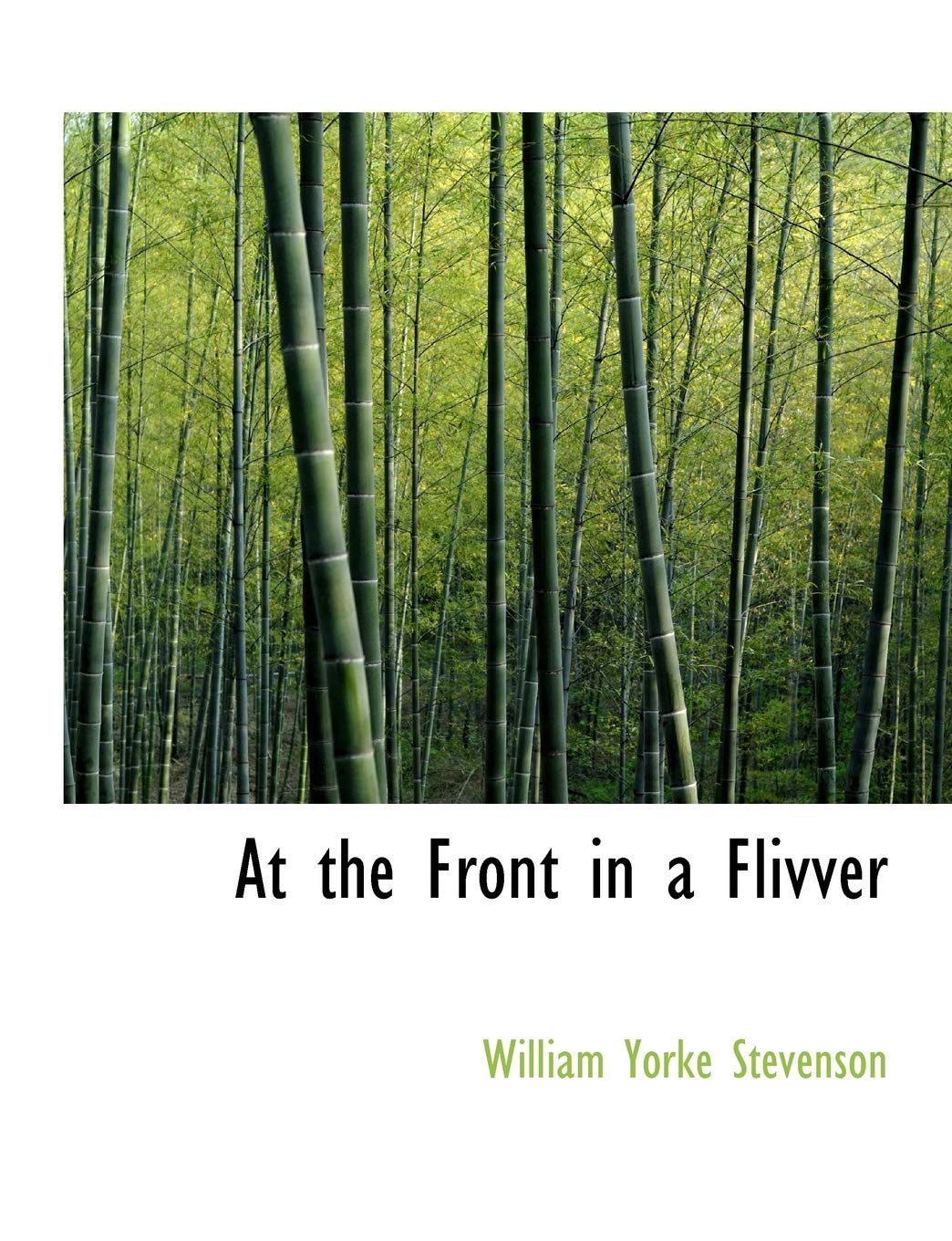 At the Front in a Flivver Politics & History