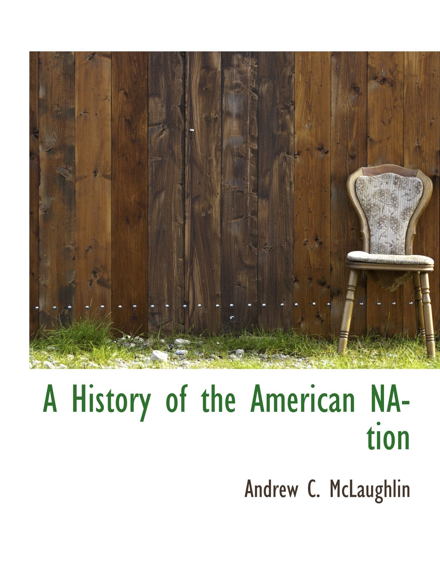 A History of the American NAtion Politics & History