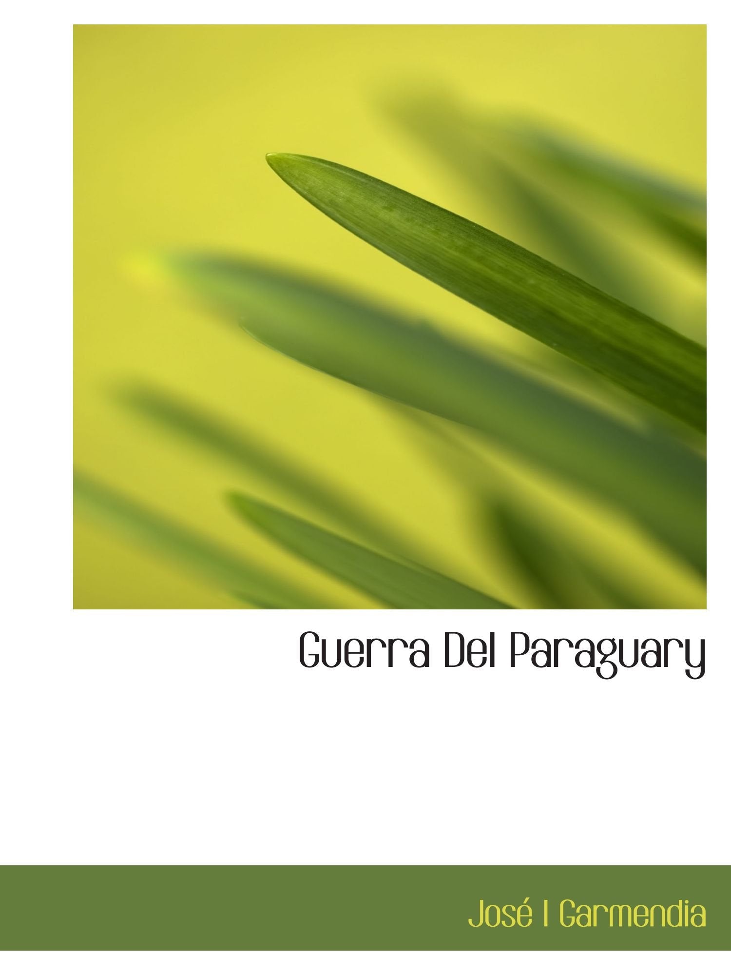 Guerra Del Paraguary Politics & History