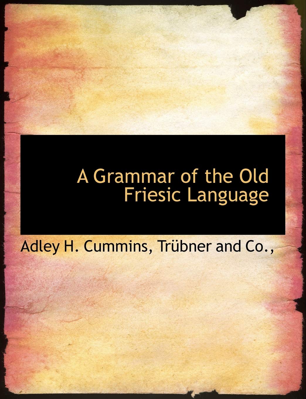 A Grammar of the Old Friesic Language Politics & History