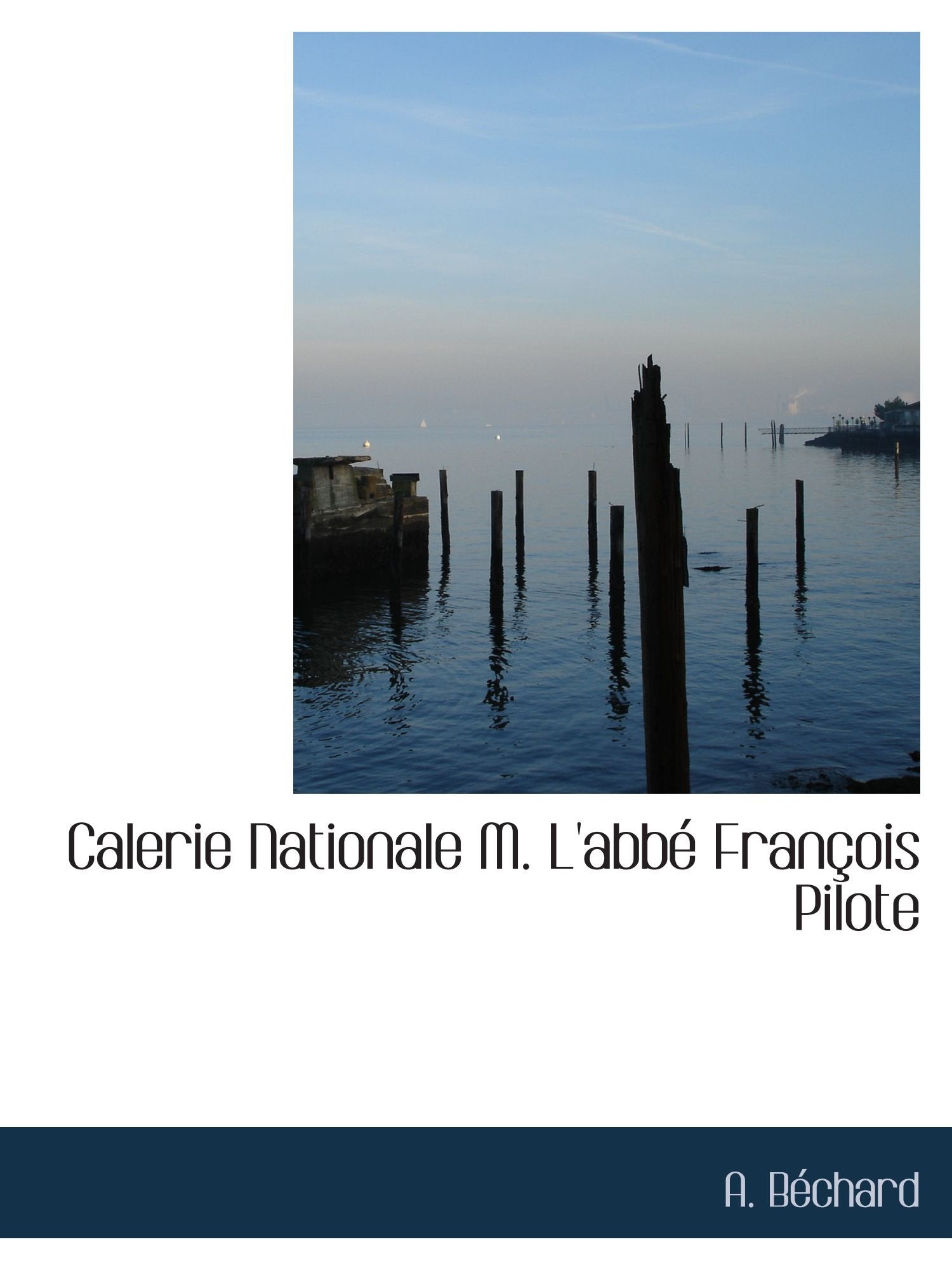 Calerie Nationale M. L'abbé François Pilote Politics & History