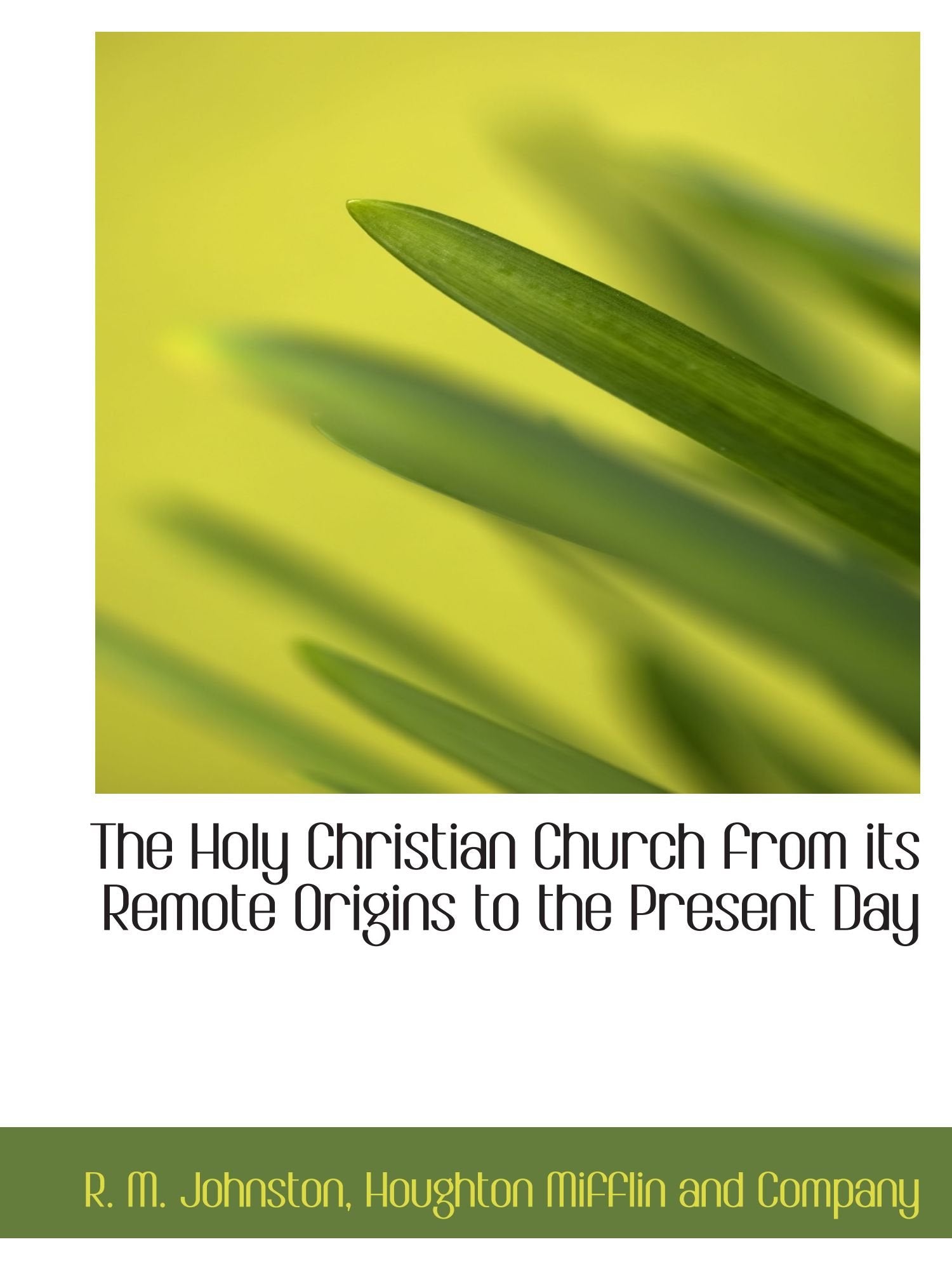 The Holy Christian Church from its Remote Origins to the Present Day Politics & History