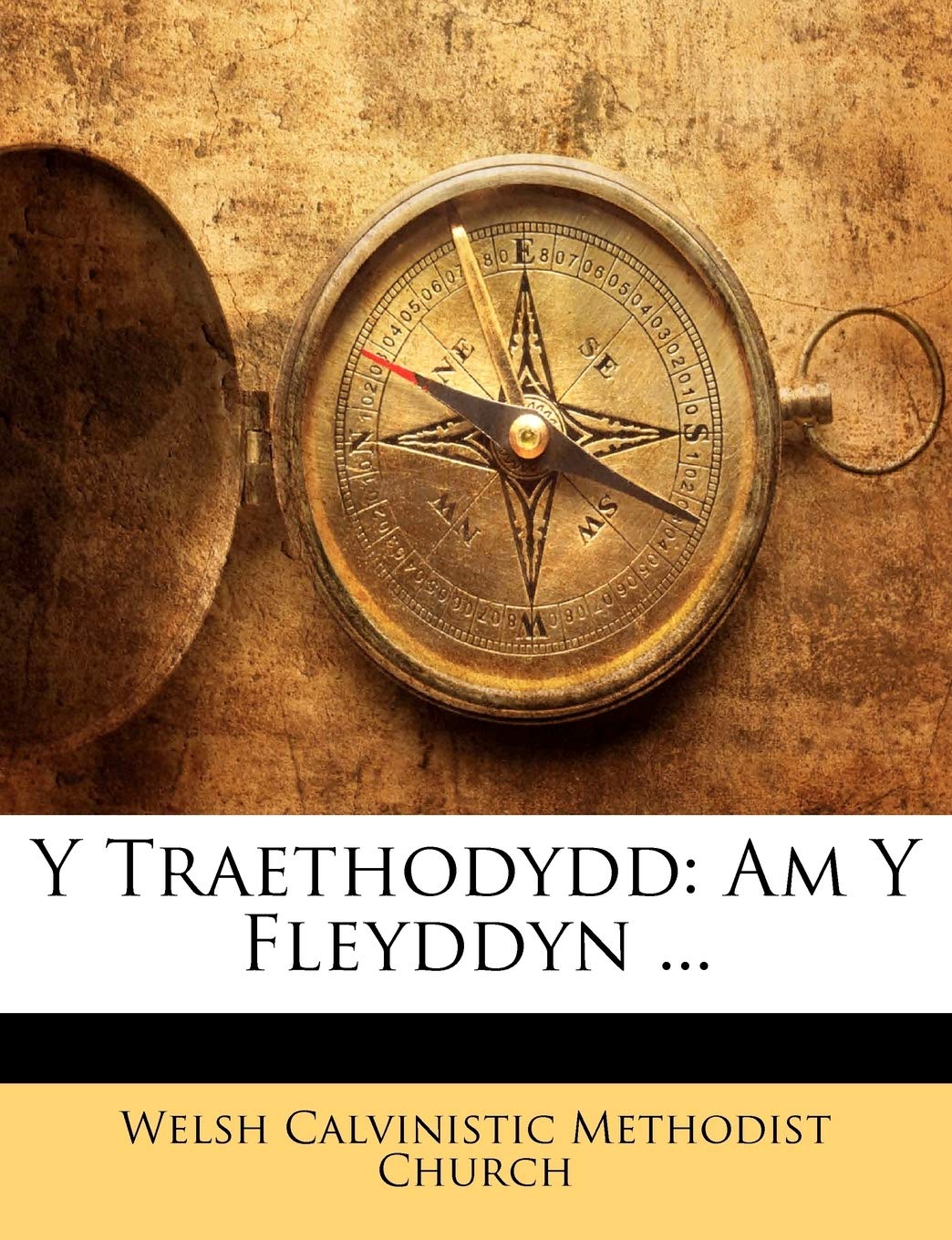 Y Traethodydd: Am Y Fleyddyn ... Politics & History