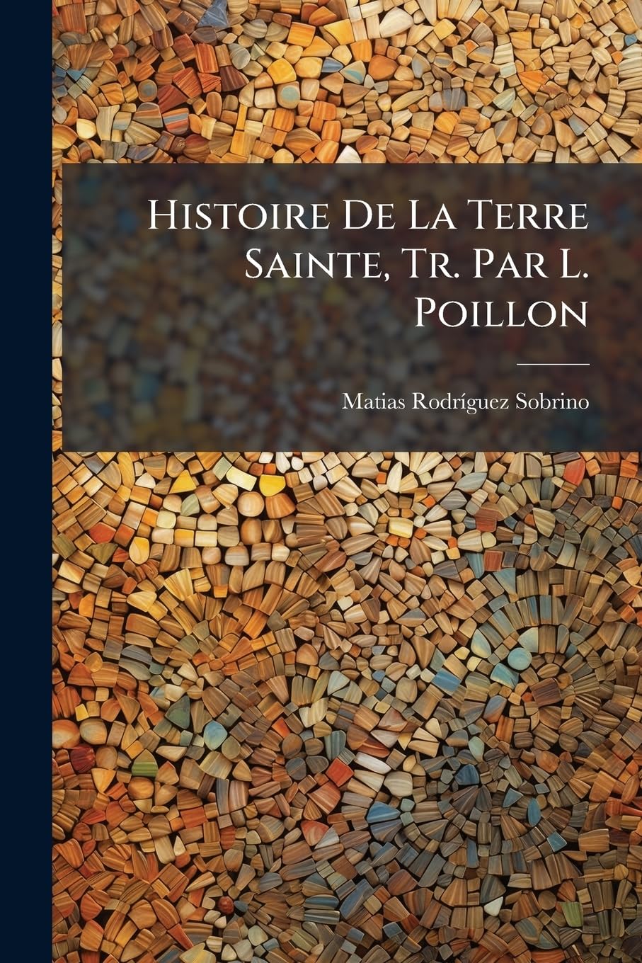 Histoire De La Terre Sainte, Tr. Par L. Poillon book