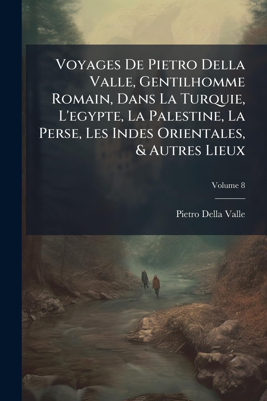 Voyages de Pietro Della Valle, Gentilhomme Romain, Dans La Turquie, l'Egypte, La Palestine, La Perse, Les Indes Orientales, & Autres Lieux, Volume 8 book