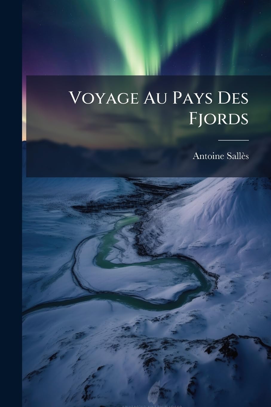 Voyage Au Pays Des Fjords book