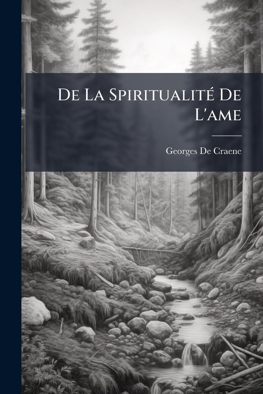 De La Spiritualité De L'ame book