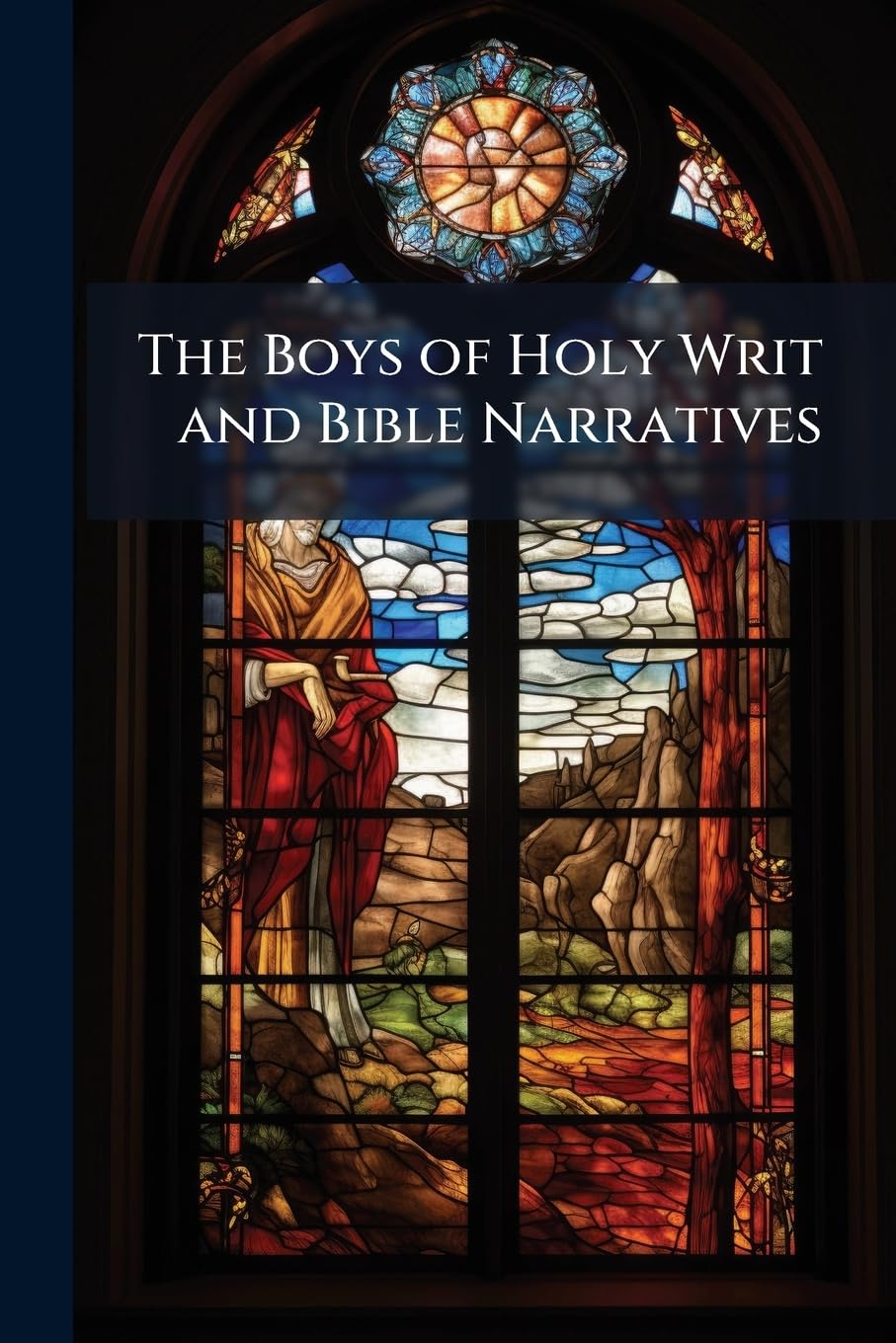 The Boys of Holy Writ and Bible Narratives Books