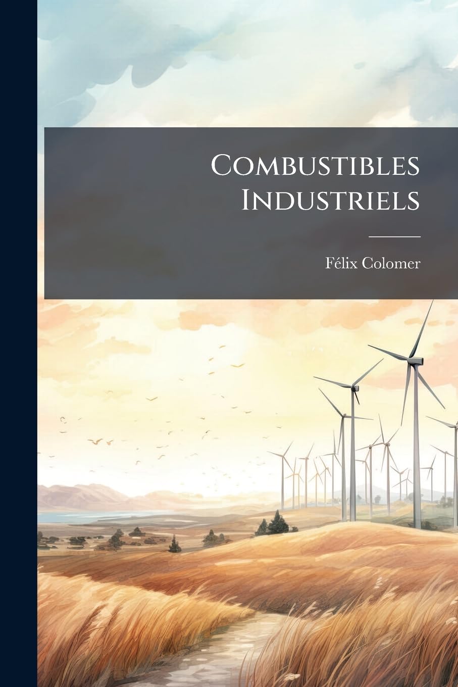 Combustibles Industriels: Houille, Pétrole, Lignite, Tourbe, Bois, Charbon De Bois, Agglomérés, Coke book