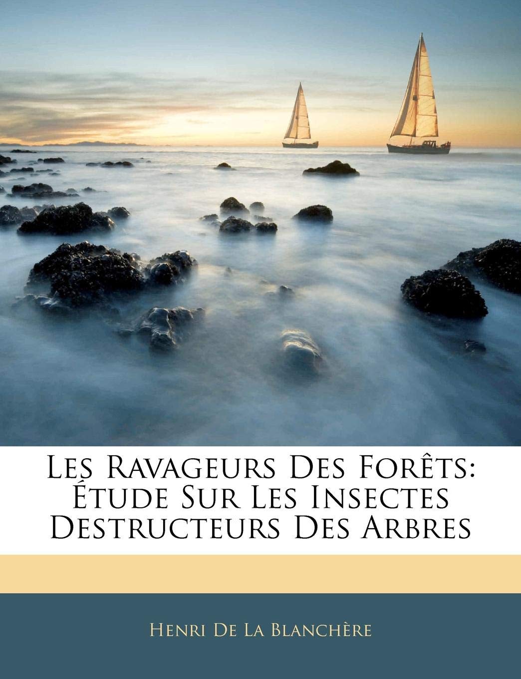 Les Ravageurs Des Forets: Etude Sur Les Insectes Destructeurs Des Arbres book