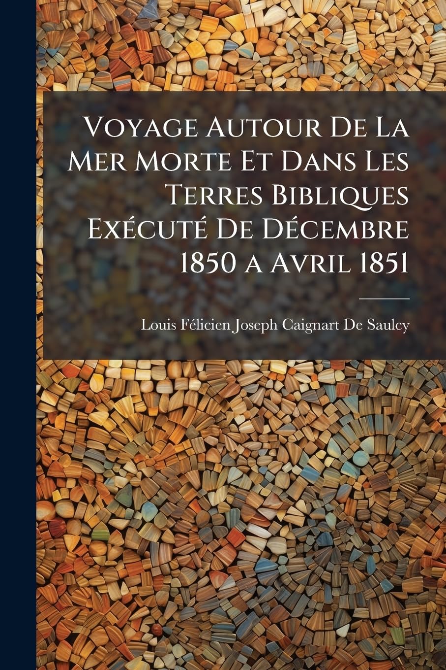Voyage Autour De La Mer Morte Et Dans Les Terres Bibliques Exécuté De Décembre 1850 a Avril 1851 book
