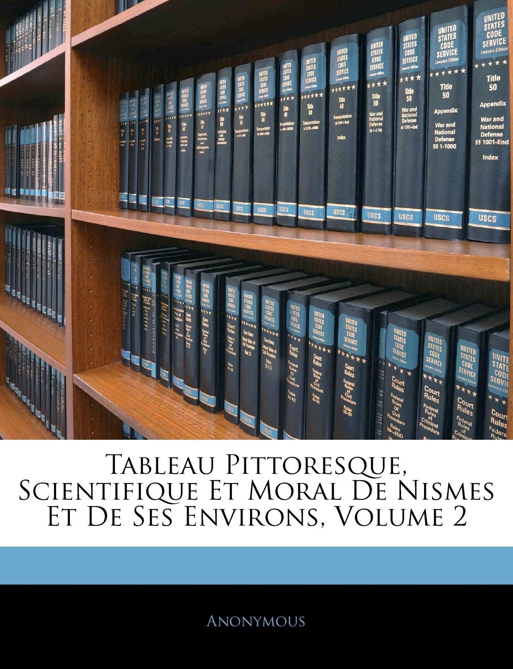 Tableau Pittoresque, Scientifique Et Moral de Nismes Et de Ses Environs, Volume 2 book