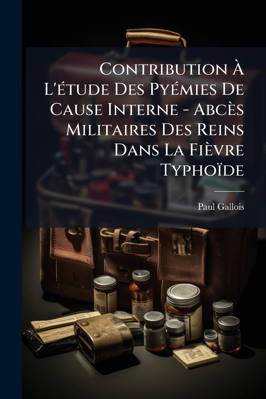 Contribution À L'étude Des Pyémies De Cause Interne - Abcès Militaires Des Reins Dans La Fièvre Typhoïde book