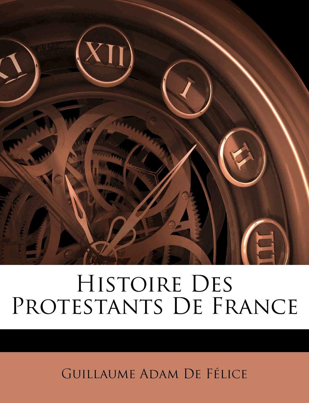 Histoire Des Protestants de France book
