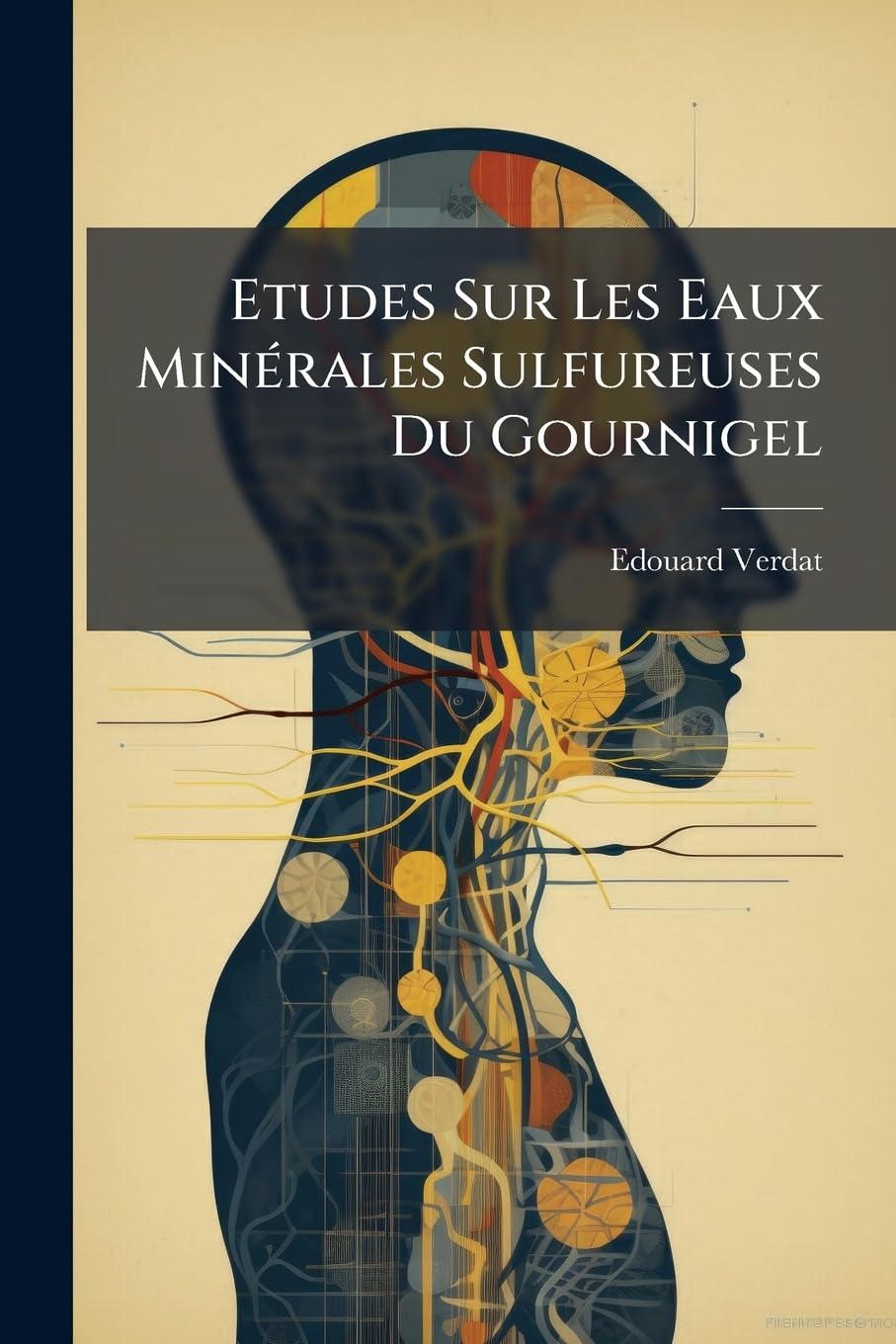 Etudes Sur Les Eaux Minérales Sulfureuses Du Gournigel book