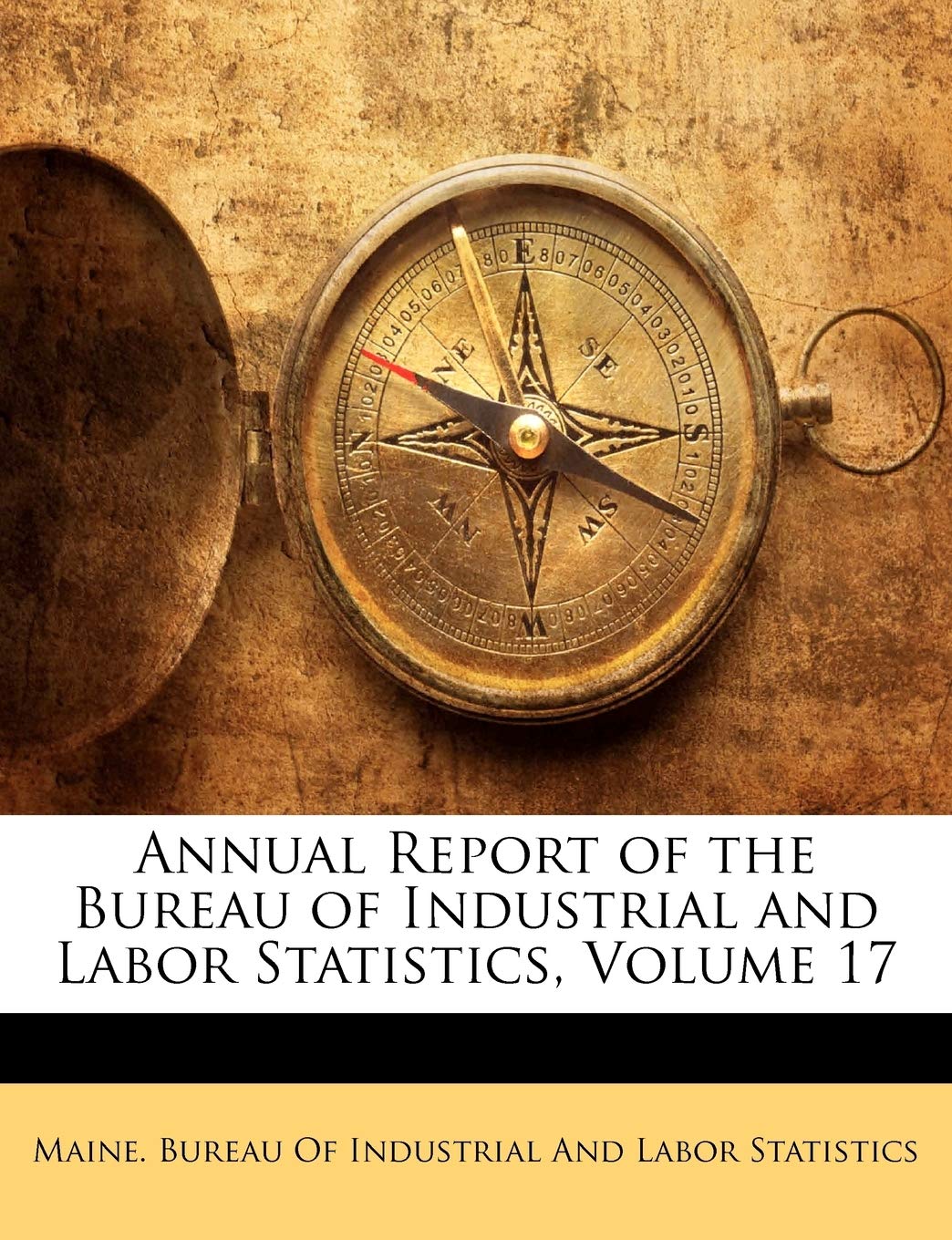 Annual Report of the Bureau of Industrial and Labor Statistics, Volume 17 Business, Finance & Career