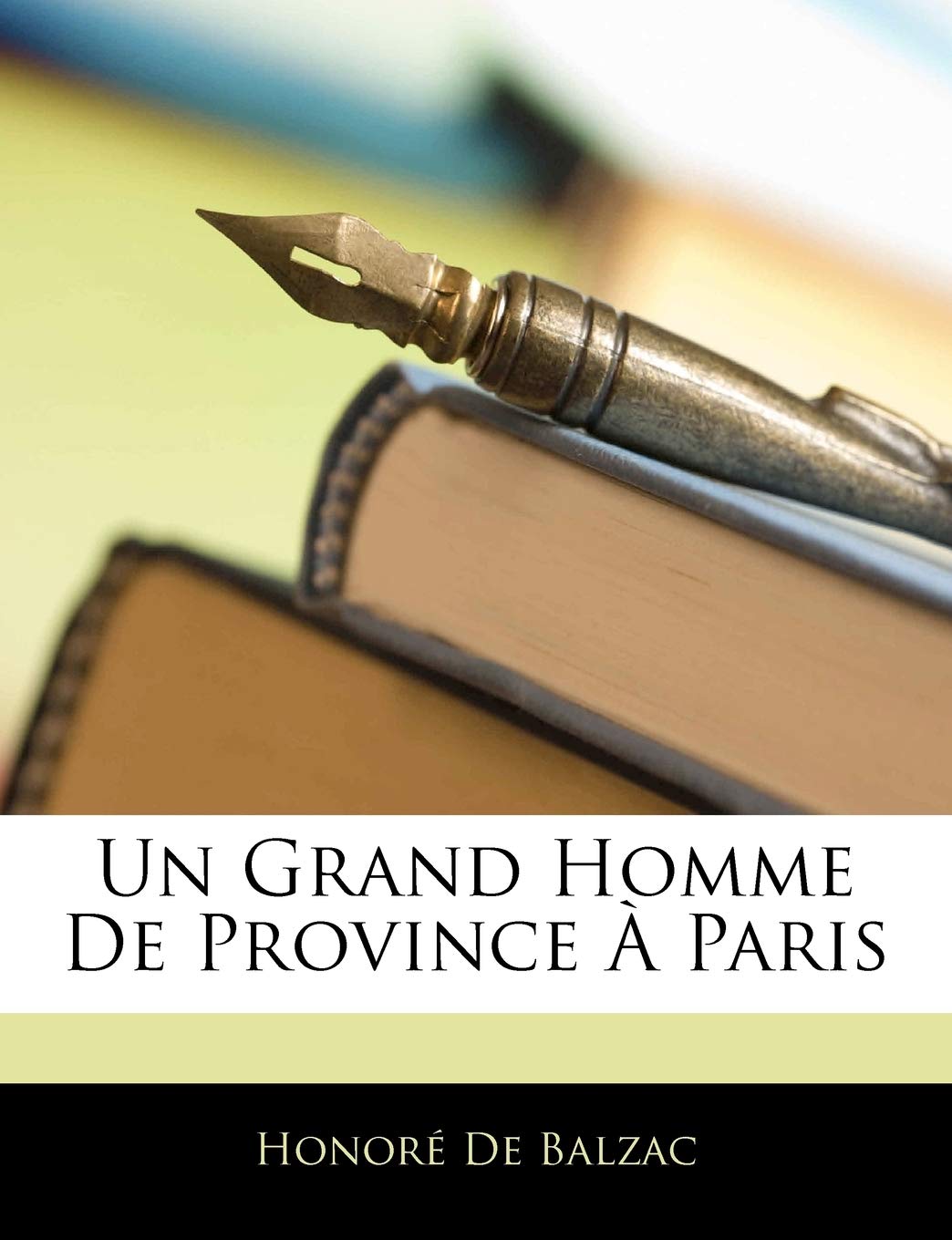 Un Grand Homme De Province À Paris book