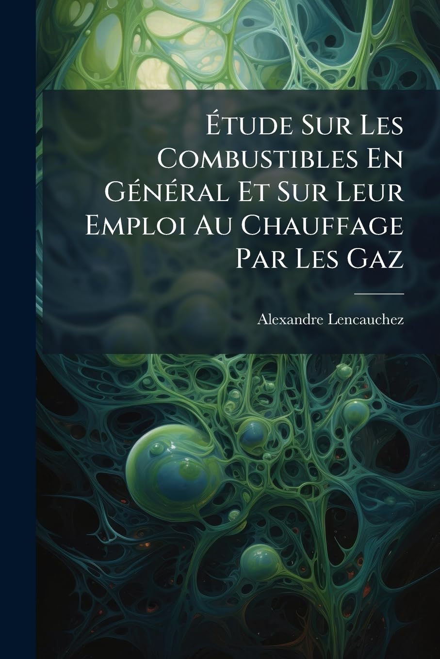 Étude Sur Les Combustibles En Général Et Sur Leur Emploi Au Chauffage Par Les Gaz book