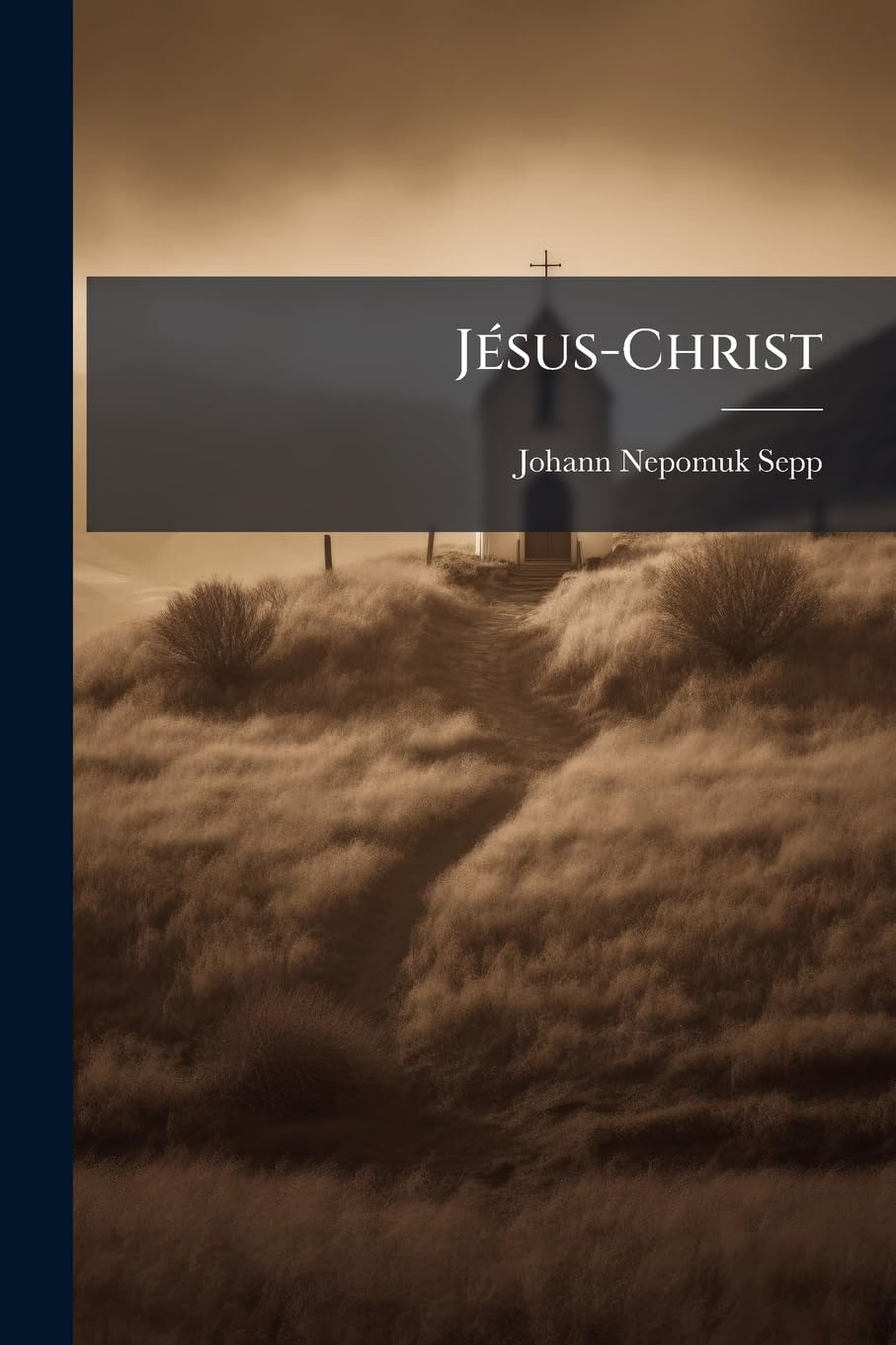 Jésus-Christ: Études Sur Sa Vie Et Sa Doctrine Dans Leurs Rapports Avec L'histoire De L'humanité book