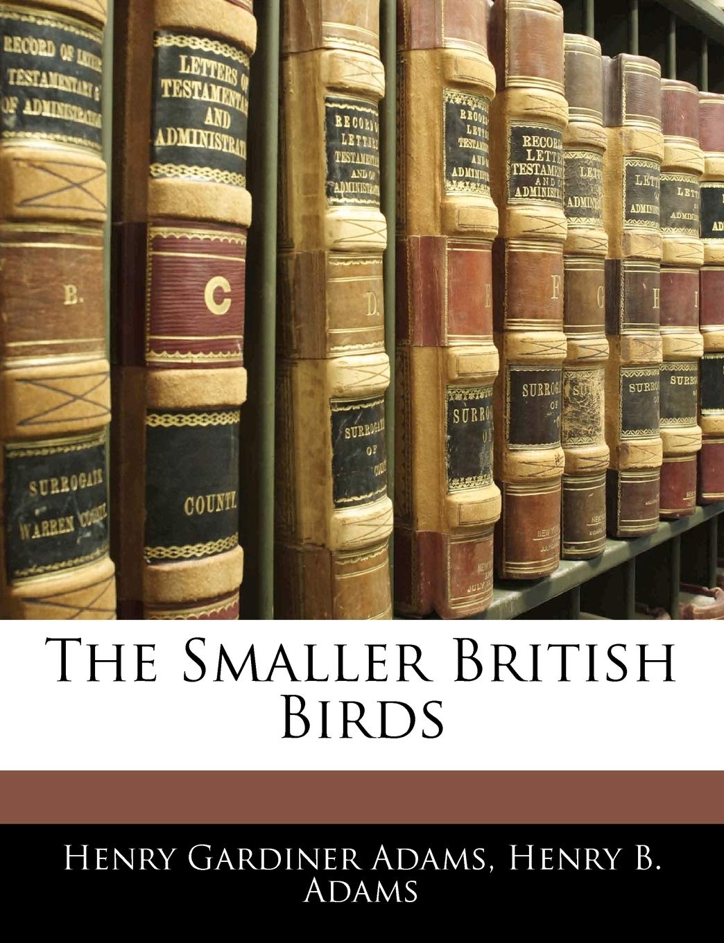 The Smaller British Birds Books