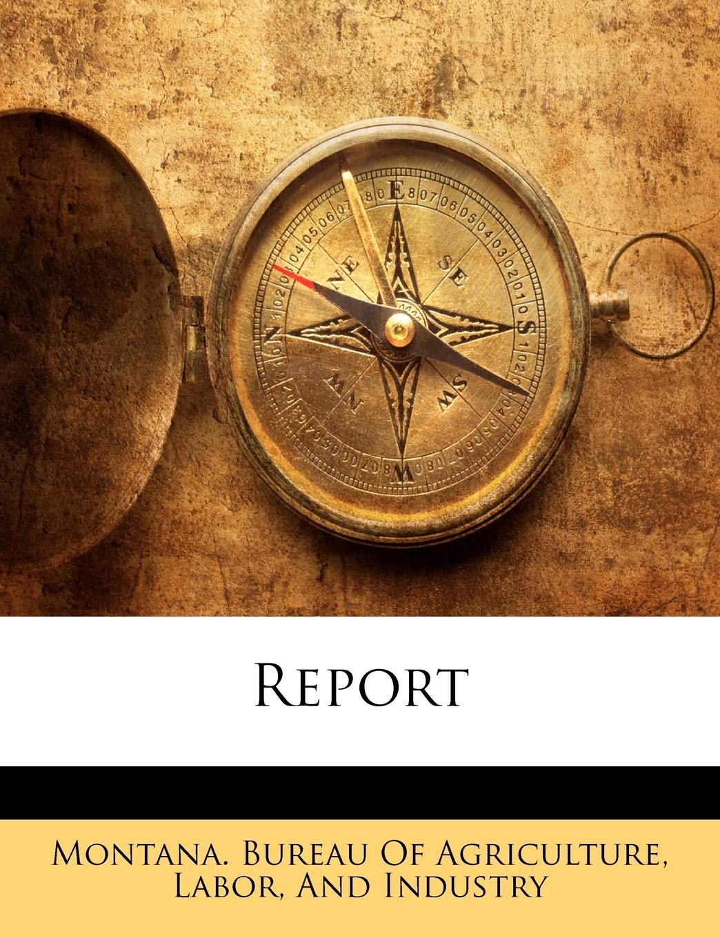 Report Business, Finance & Career