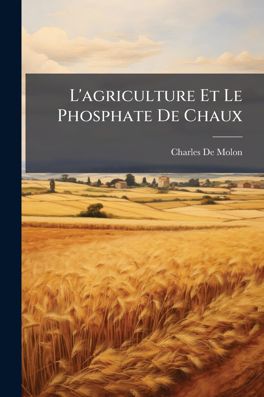 L'agriculture Et Le Phosphate De Chaux: Notice Sur Les Travaux Et Sur Les Recherches book