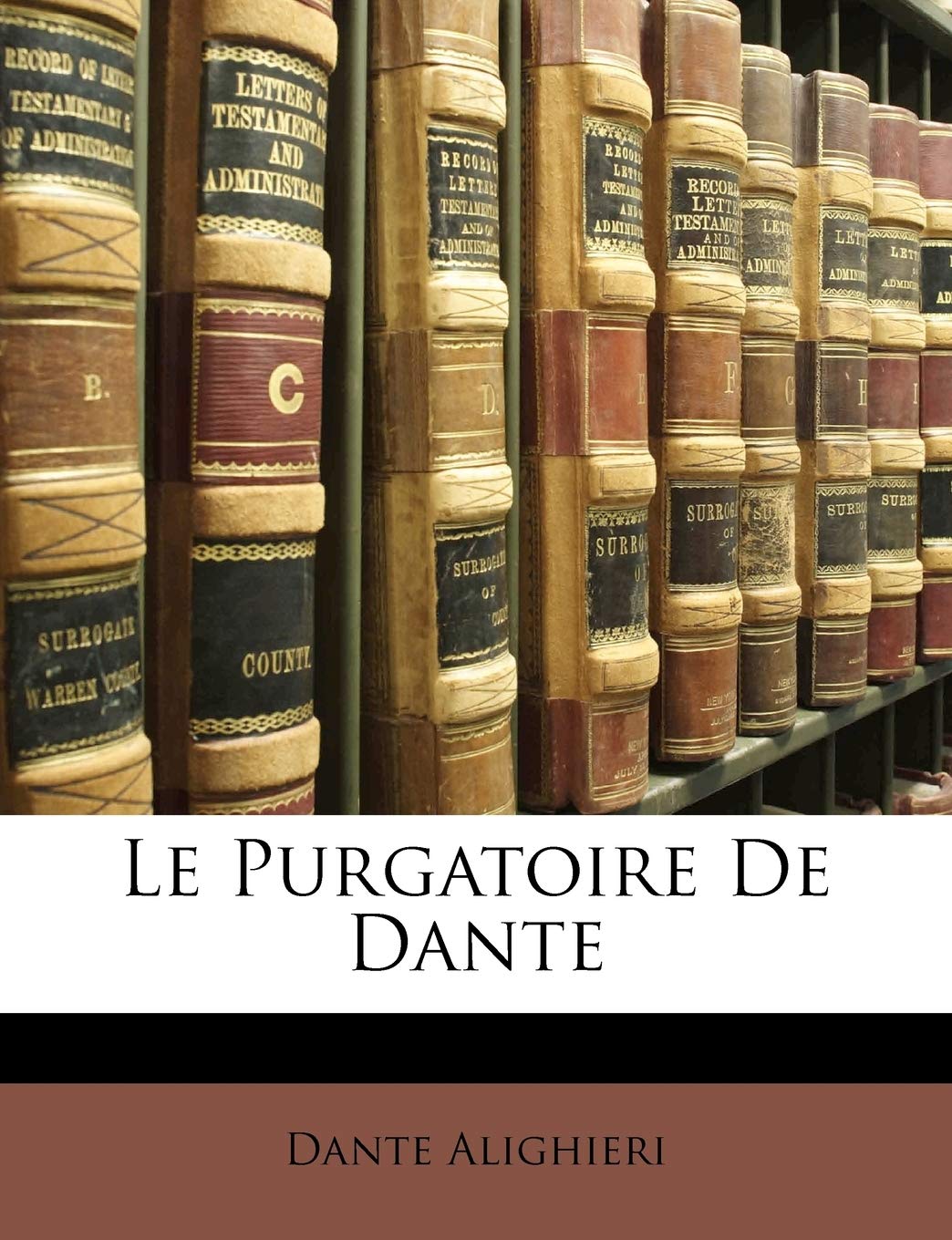 Le Purgatoire De Dante book