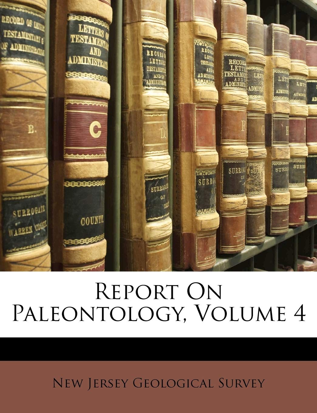 Report on Paleontology, Volume 4 Books
