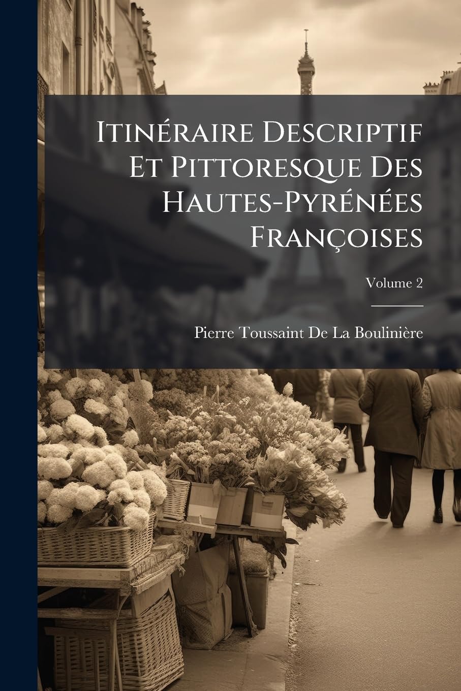 Itinéraire Descriptif Et Pittoresque Des Hautes-Pyrénées Françoises: Jadis Territoires Du Béarn, Du Bigorre, Des Quatre-Vallées, Du Comminges, Et De La Haute-Garonne; Volume 2 book