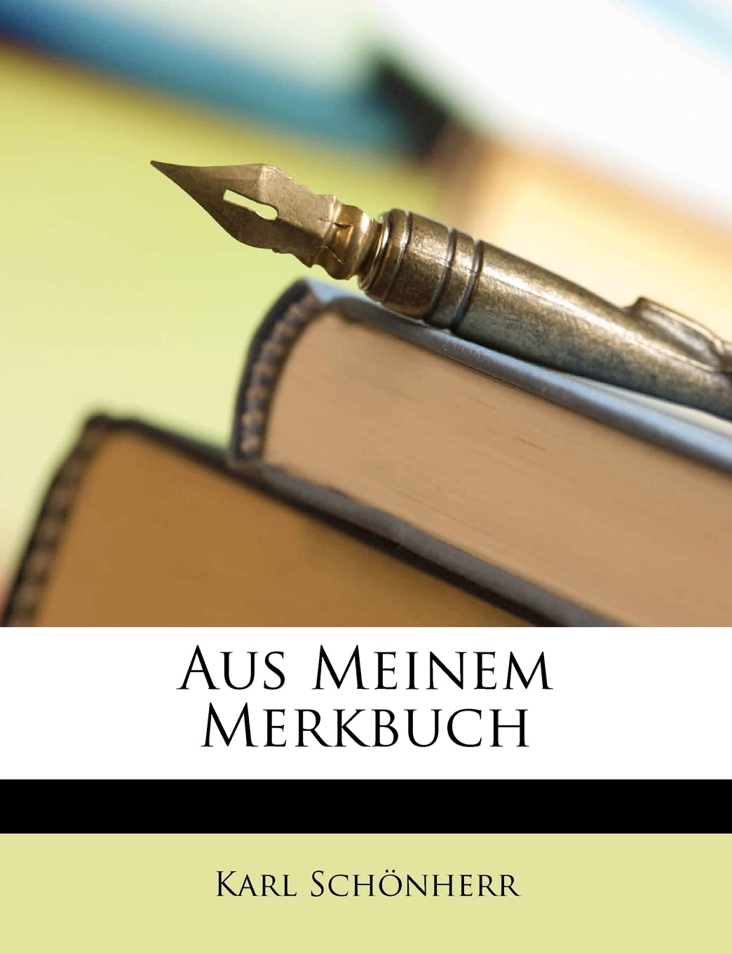 Aus Meinem Merkbuch Contemporary literature