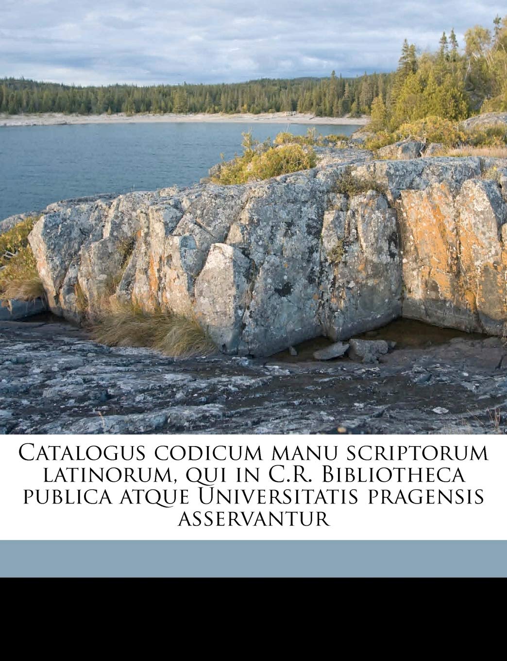 Catalogus Codicum Manu Scriptorum Latinorum, Qui in C.R. Bibliotheca Publica Atque Universitatis Pragensis Asservantur Volume 1 Politics & History