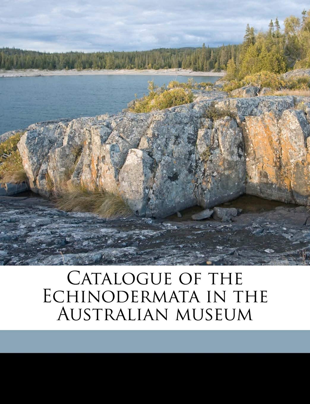 Catalogue of the Echinodermata in the Australian Museum Politics & History
