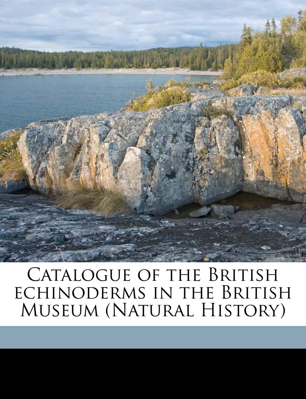 Catalogue of the British Echinoderms in the British Museum (Natural History) Politics & History