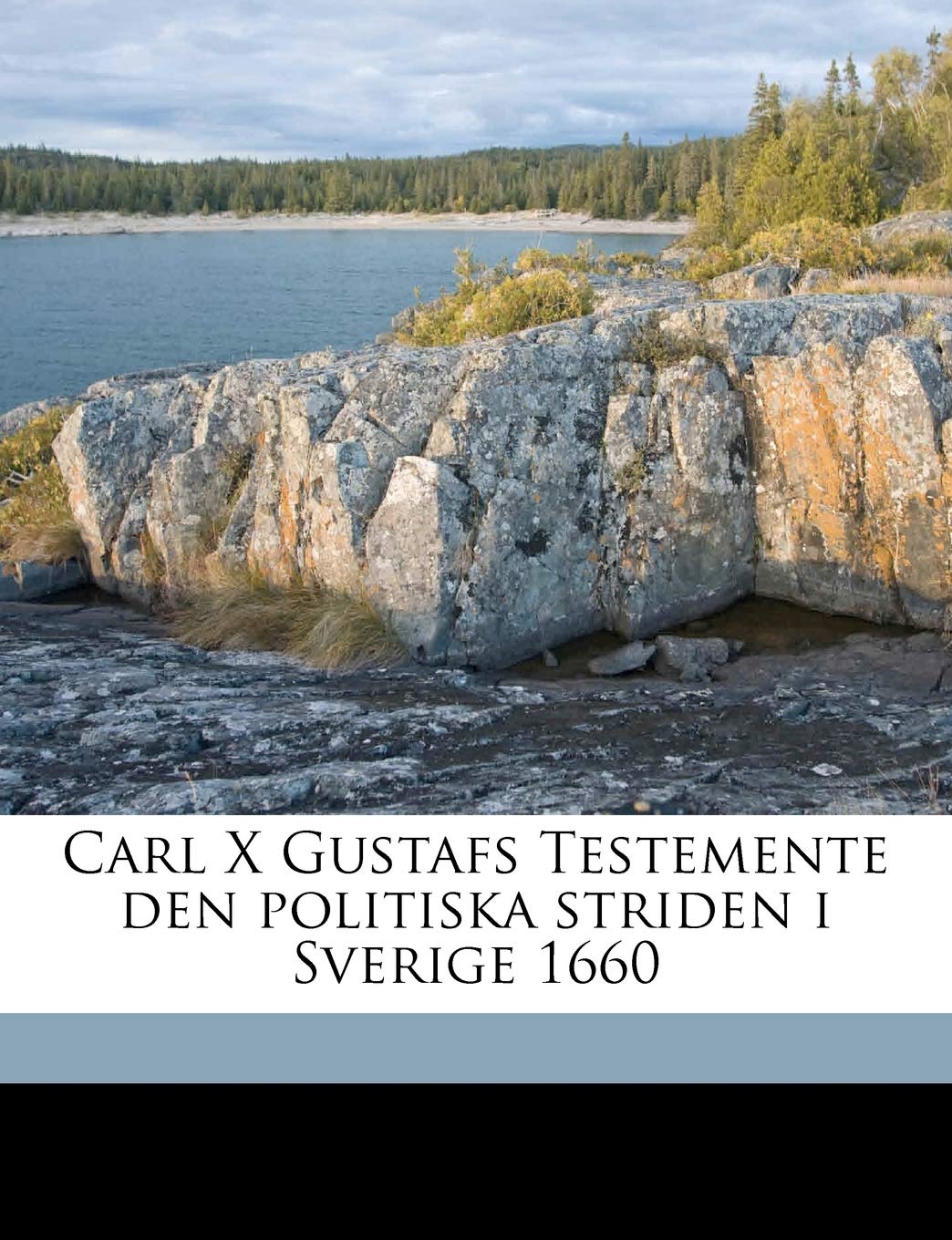 Carl X Gustafs Testemente den politiska striden i Sverige 1660 Politics & History