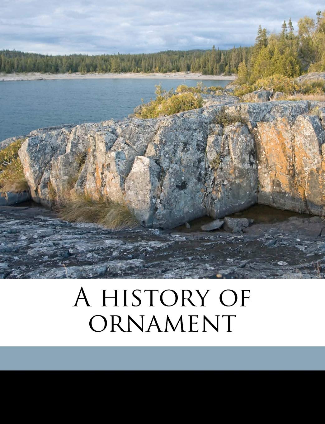A History of Ornament Politics & History