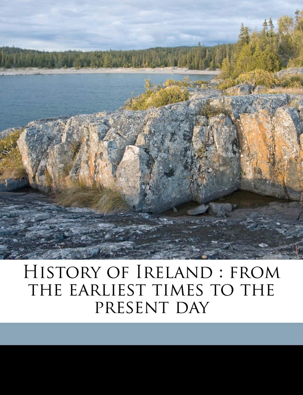 History of Ireland: From the Earliest Times to the Present Day Volume 4 Politics & History